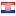 flag icon