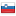 flag icon