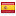 flag icon