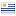 flag icon