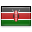 shiny country icon