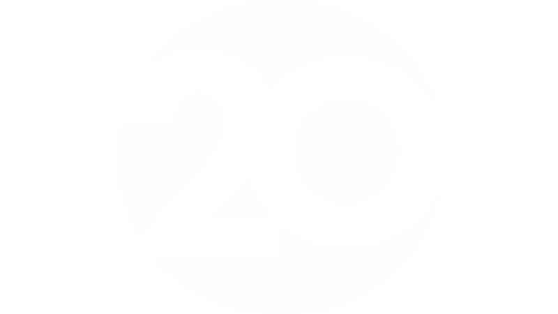 20 logo