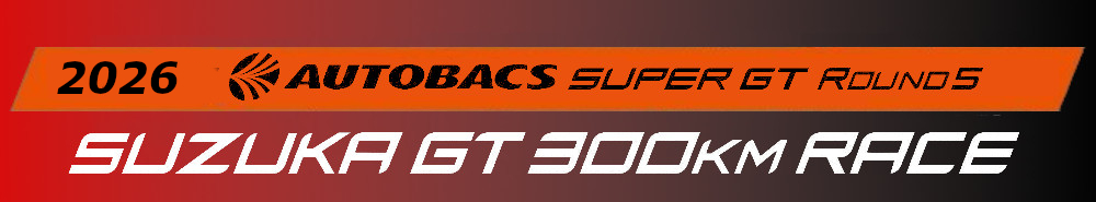 SUZUKA GT 300km RACE vs