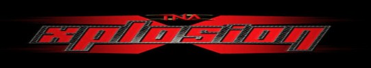 Event Banner