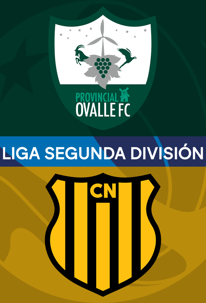 ملصق المباراة