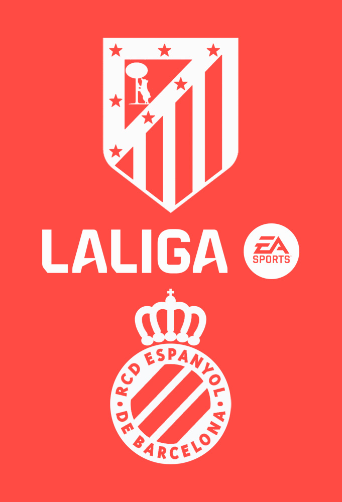 Poster della Partita