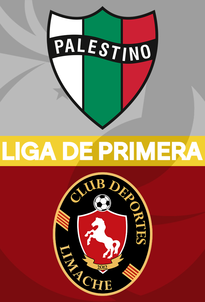 Palestino vs Deportes Limache