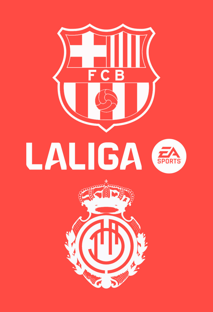 ملصق المباراة