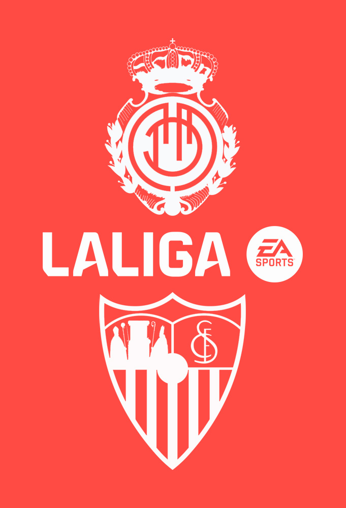 Poster della Partita