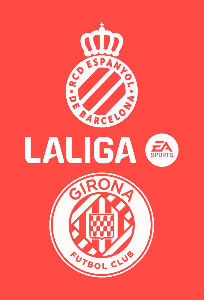 ملصق المباراة