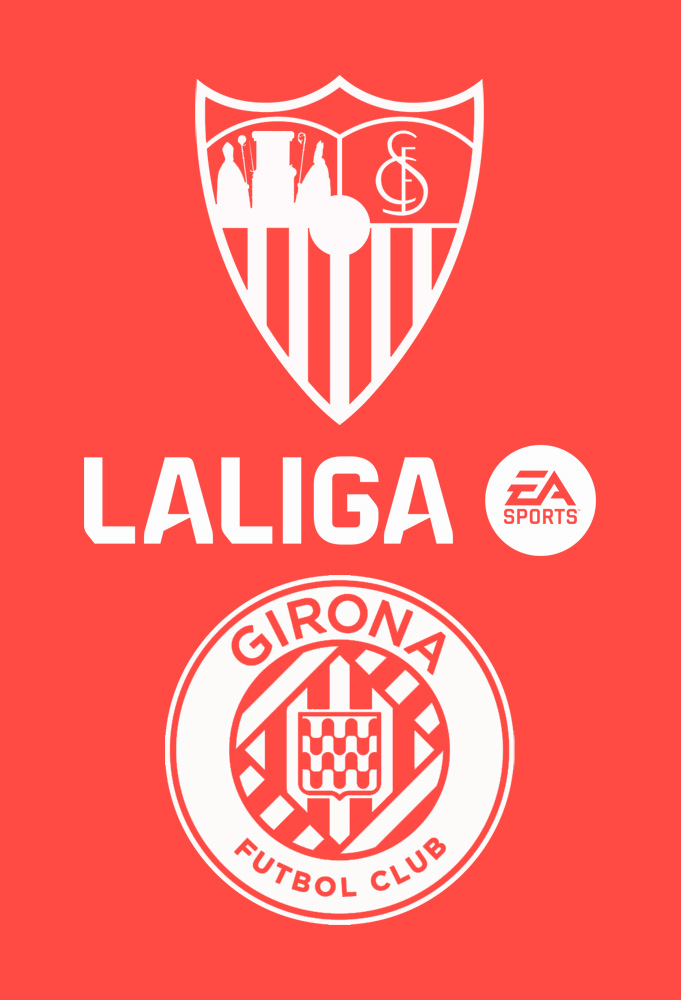 Poster della Partita