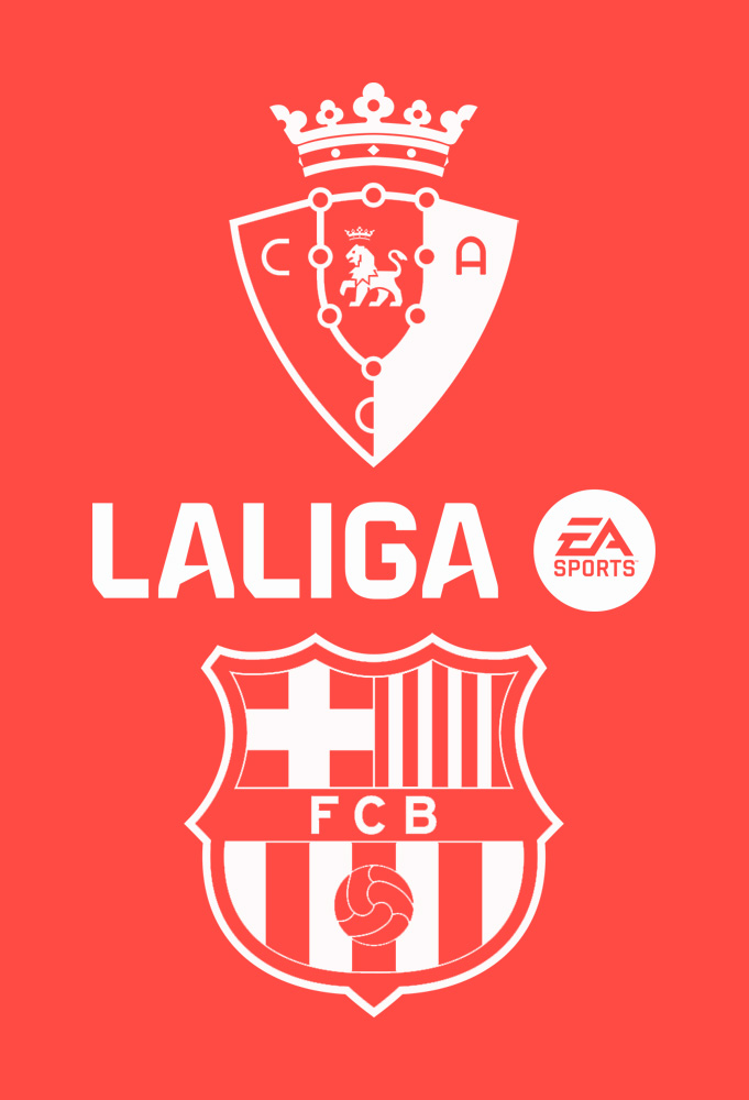 Постер матча