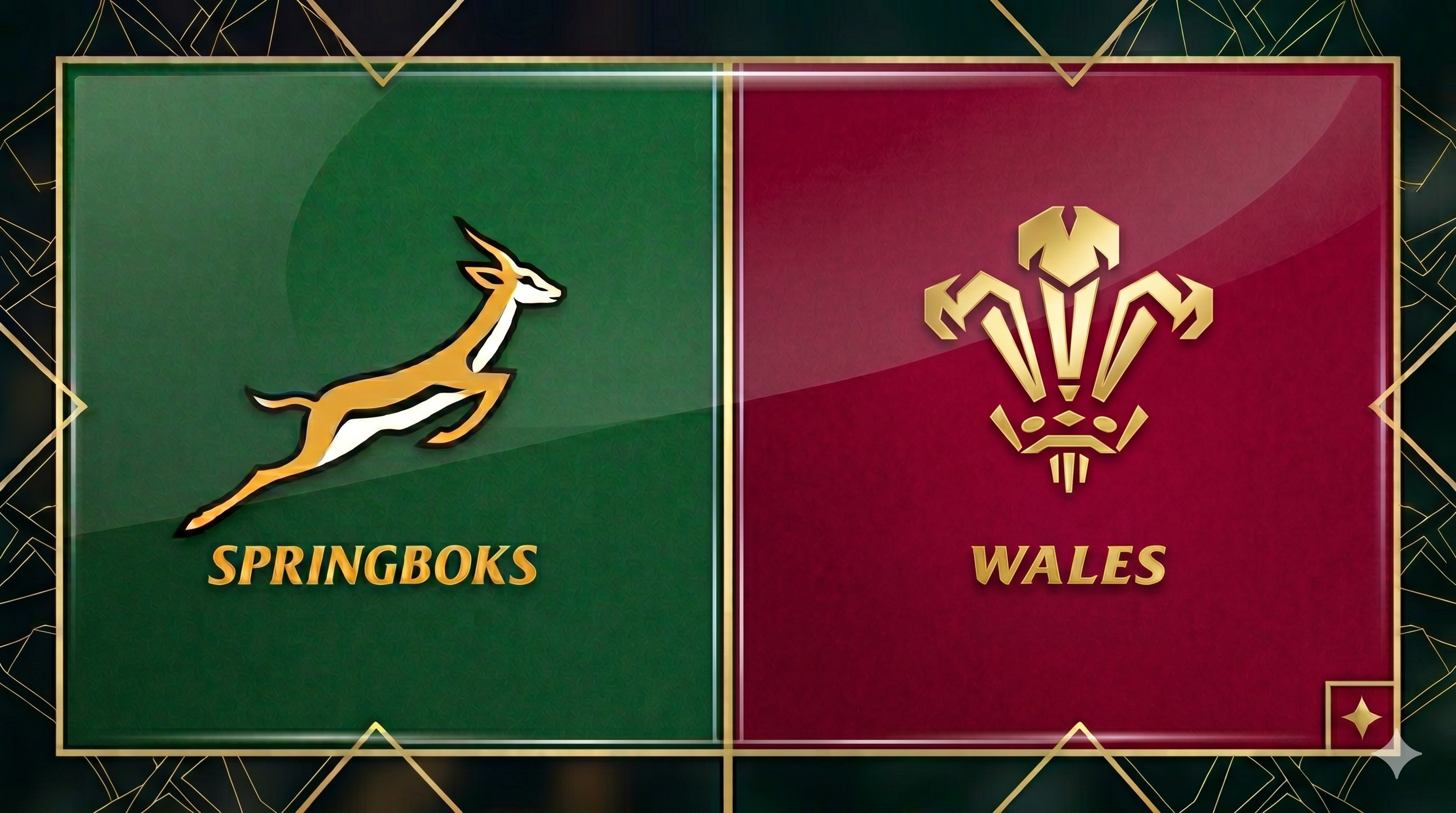 South Africa Rugby vs Wales Rugby