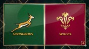 South Africa Rugby vs Wales Rugby thumbnail artwork