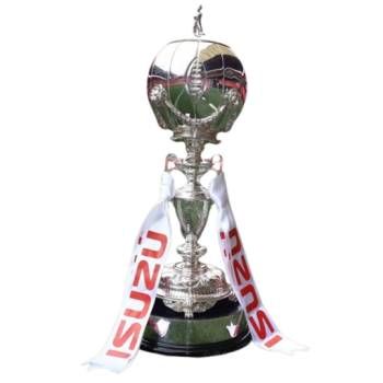 English FA Trophy honour artwork