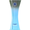 honour trophy