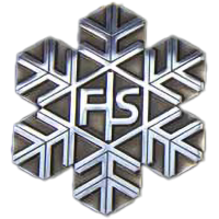FIS Alpine World Ski Championships Silver Women Downhill Honour icon