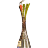 honour trophy