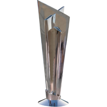 T20 World Cup honour artwork