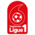 League badge