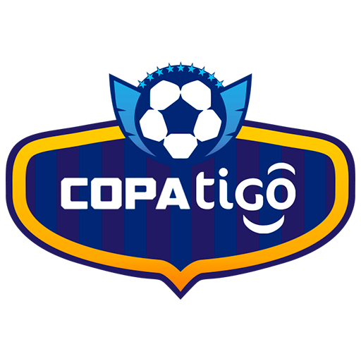 2022 Bolivian Primera Divisin season, Always Ready, Club Blooming, C.D.  Jorge Wilstermann, Club Bolivar, Royal Pari F.C., Club Independiente  Petrolero, Club Atletico Palmaflor, Real Santa Cruz. Stock Vector