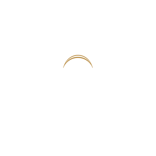 FIBA Womens World Cup