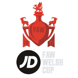 Welsh League Cup