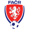 tiny league badge icon