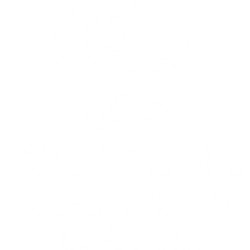 Uefa Womens Champions League