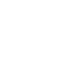 Denmark Dbu Pokalen