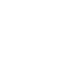 Uzbekistan Super League