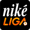 team badge