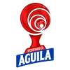 team badge