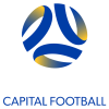 team badge