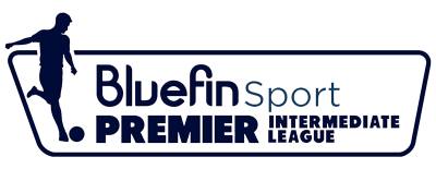 Northern Irish Premier Intermediate League