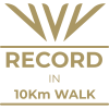 Milestone icon
