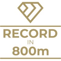 Milestone Art icon