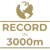 Milestone icon
