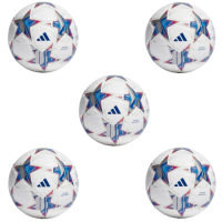 UEFA Champions League 5 Goals Milestone Art icon