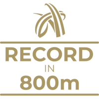 Milestone Art icon