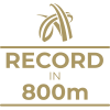 Milestone icon
