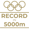 Milestone icon