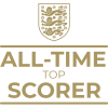 Milestone icon