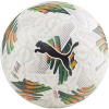 Milestone icon