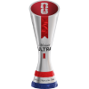 Milestone icon