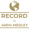 Milestone icon