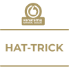 Milestone icon