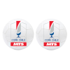 Milestone icon