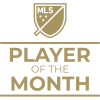 Milestone icon
