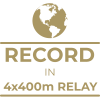 Milestone icon